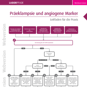 Präklampsie und angiogene Marker