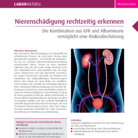 Nierenschädigung rechtzeitig erkennen