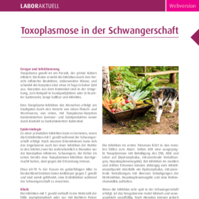 Toxoplasmose in der Schwangerschaft 