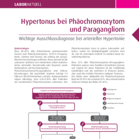 Hypertonus bei Phäochromzyton und Paragangliom