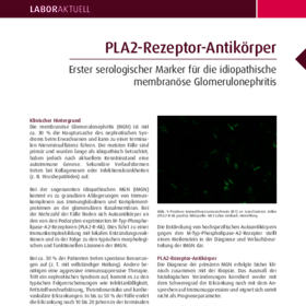 PLA2-Rezeptor-Antikörper