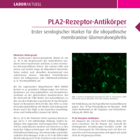PLA2-Rezeptor-Antikörper
